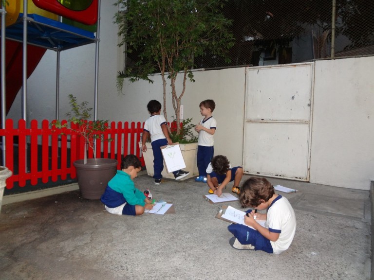 Jabuticabeira EIJ2T4 TP 2016-04-28 FT (6)