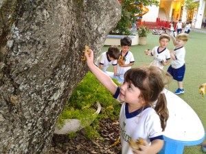 20180411_172333 20180411_172333