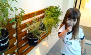 Maos a Horta EIJ2T2 TP 2018-05-18 FT (3) Maos a Horta EIJ2T2 TP 2018-05-18 FT (3)