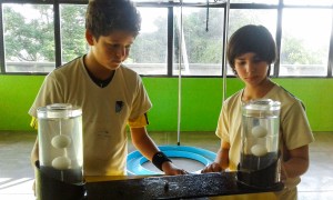 Casa da Descoberta – EF5T4 (46) Casa da Descoberta - EF5T4 (46)