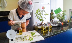 Produção de Perfume de Azeite Jardim 2018 (4)-1 Produção de Perfume de Azeite Jardim 2018 (4)-1