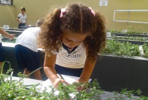 Plantando Alface EIJ2T 04-2019 (1)-1 Plantando Alface EIJ2T 04-2019 (1)-1