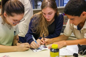 Cordel da compadecida EM01M3 2019-07-05 FT (65)-2 Cordel da compadecida EM01M3 2019-07-05 FT (65)-2