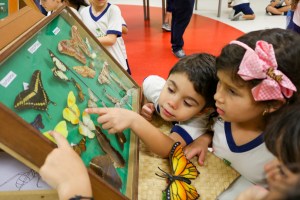 sem título (13 de 20)