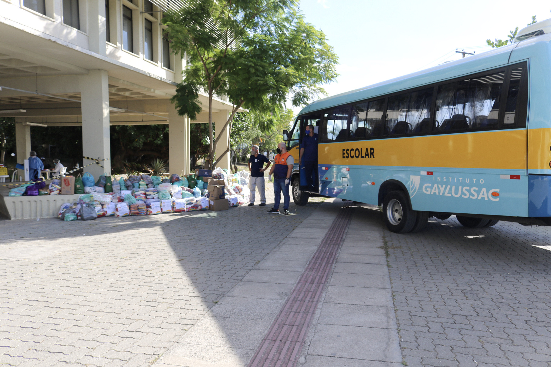 Campanha "Fome Não!" é feita pela Cognita