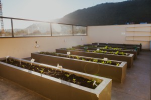 fotografia_institucional_gaylussac_1005