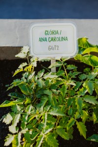 fotografia_institucional_gaylussac_1009 fotografia_institucional_gaylussac_1009