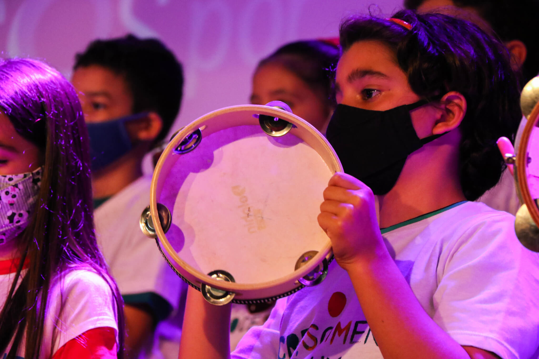 Curiosos por Natureza