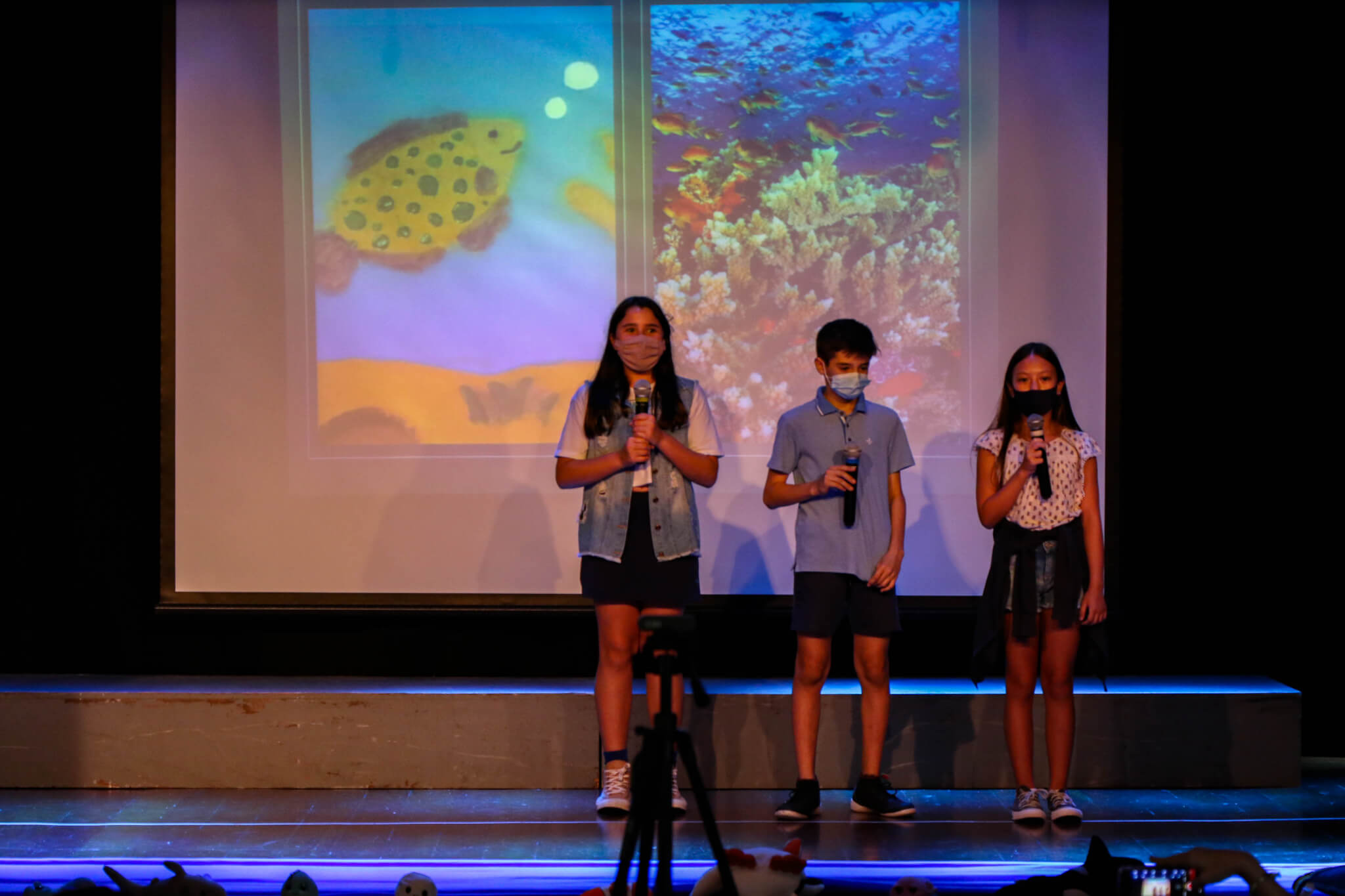 Curiosos por Natureza