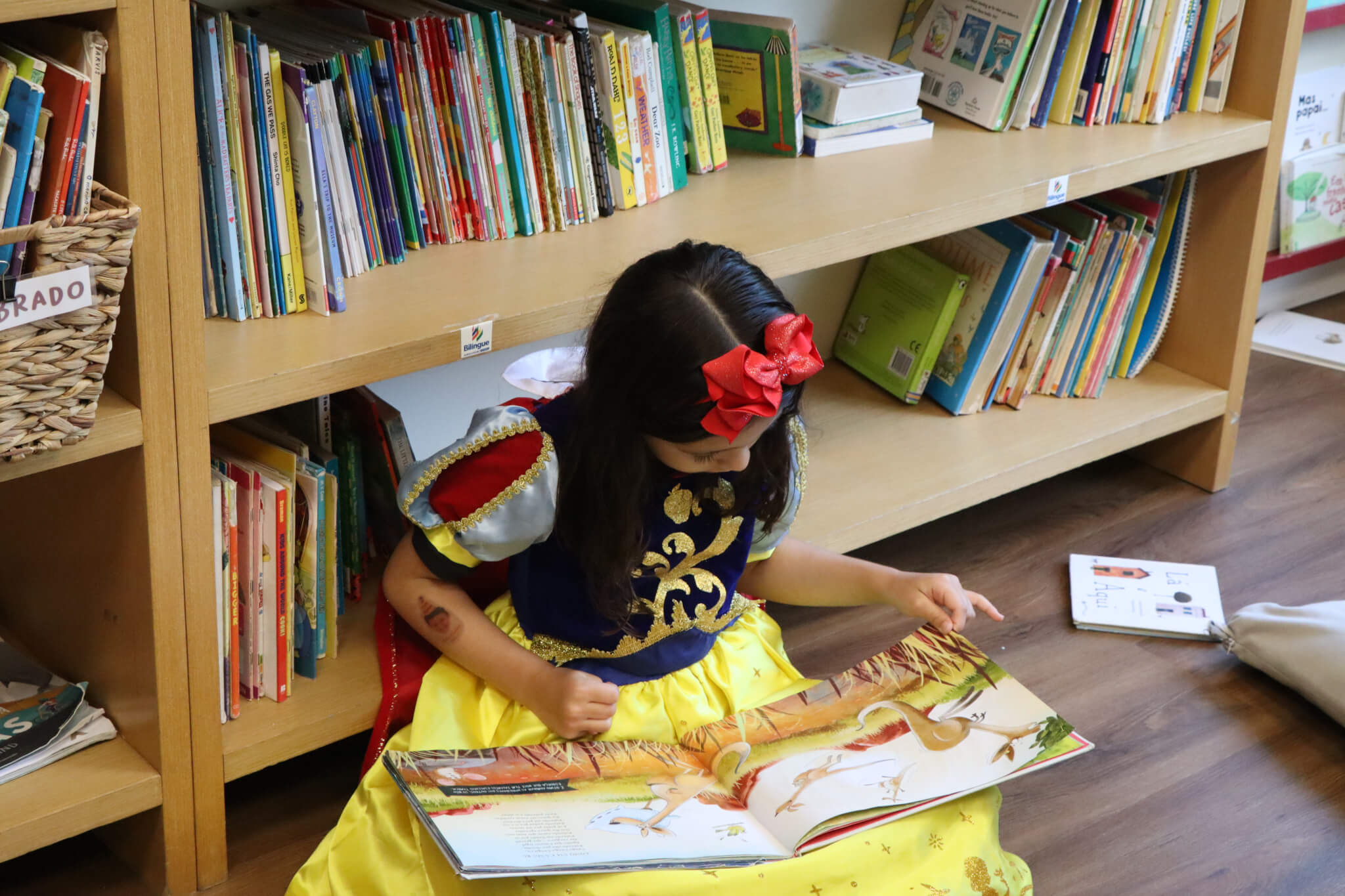 World Book Day